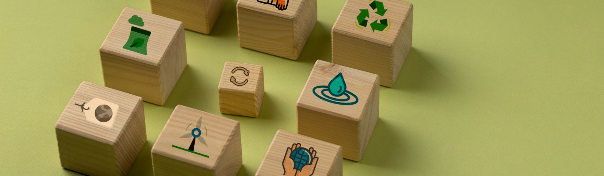 Structuring a Sustainability function: where the roles should sit