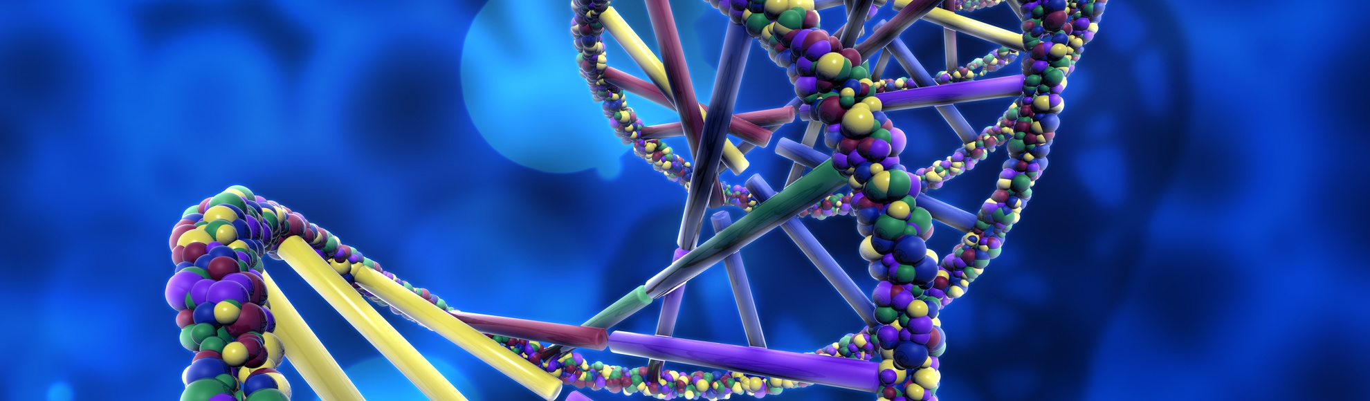 Sector Guide: Life Sciences (Americas)