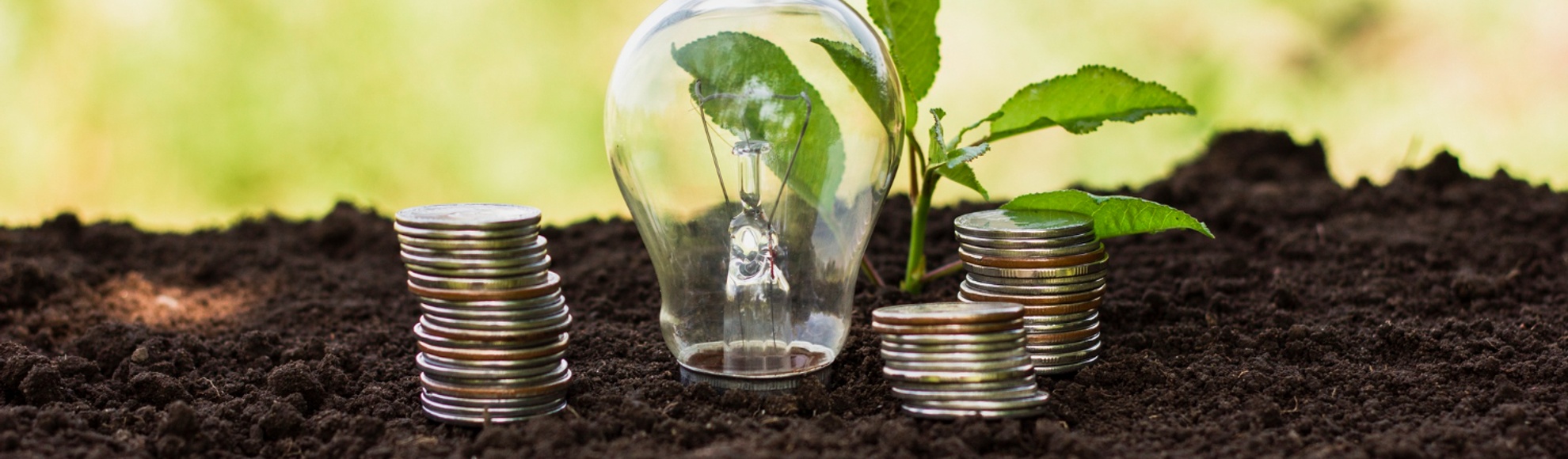 How Inflation Reduction Act tax credits are transforming US tax hiring