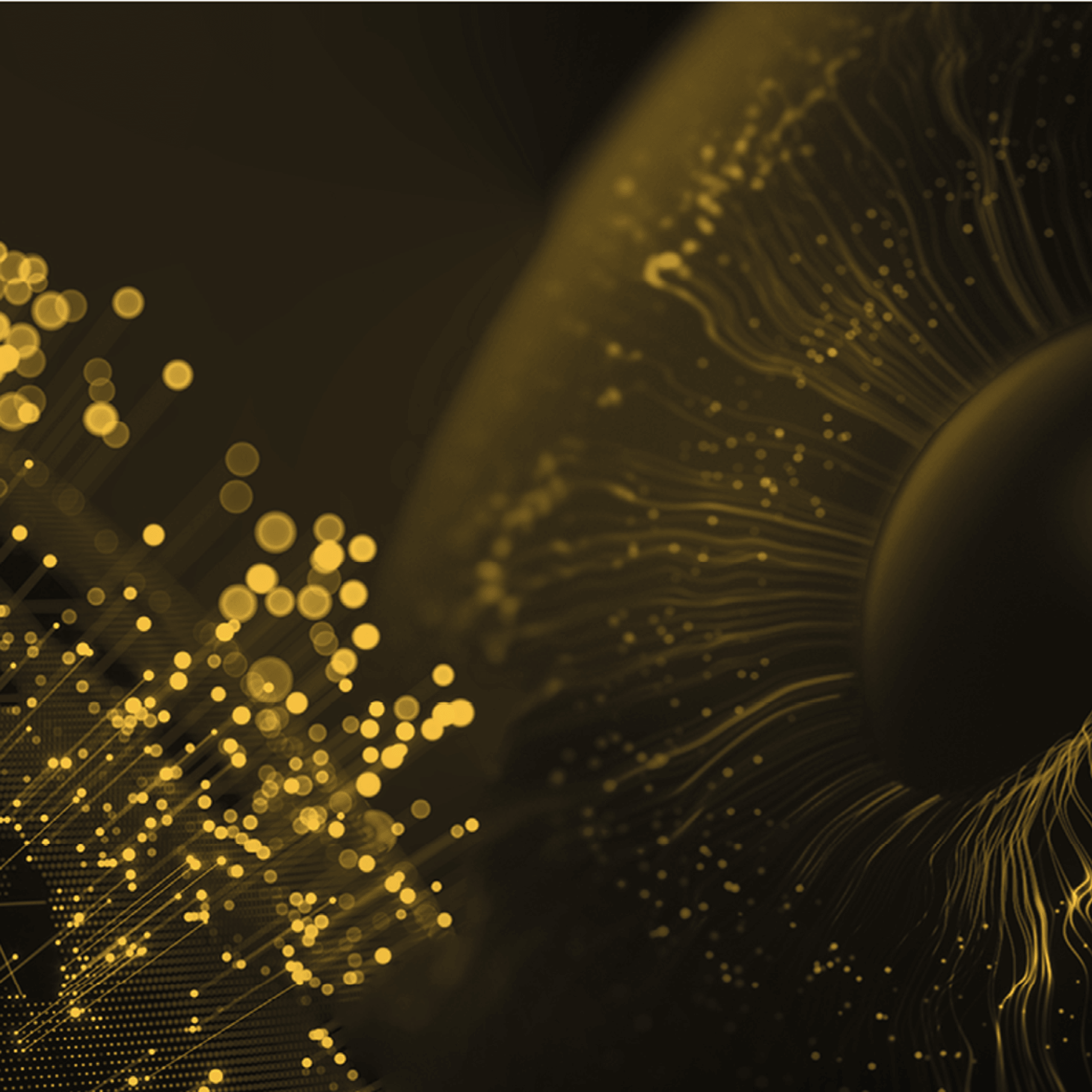 Overlay Main Banner