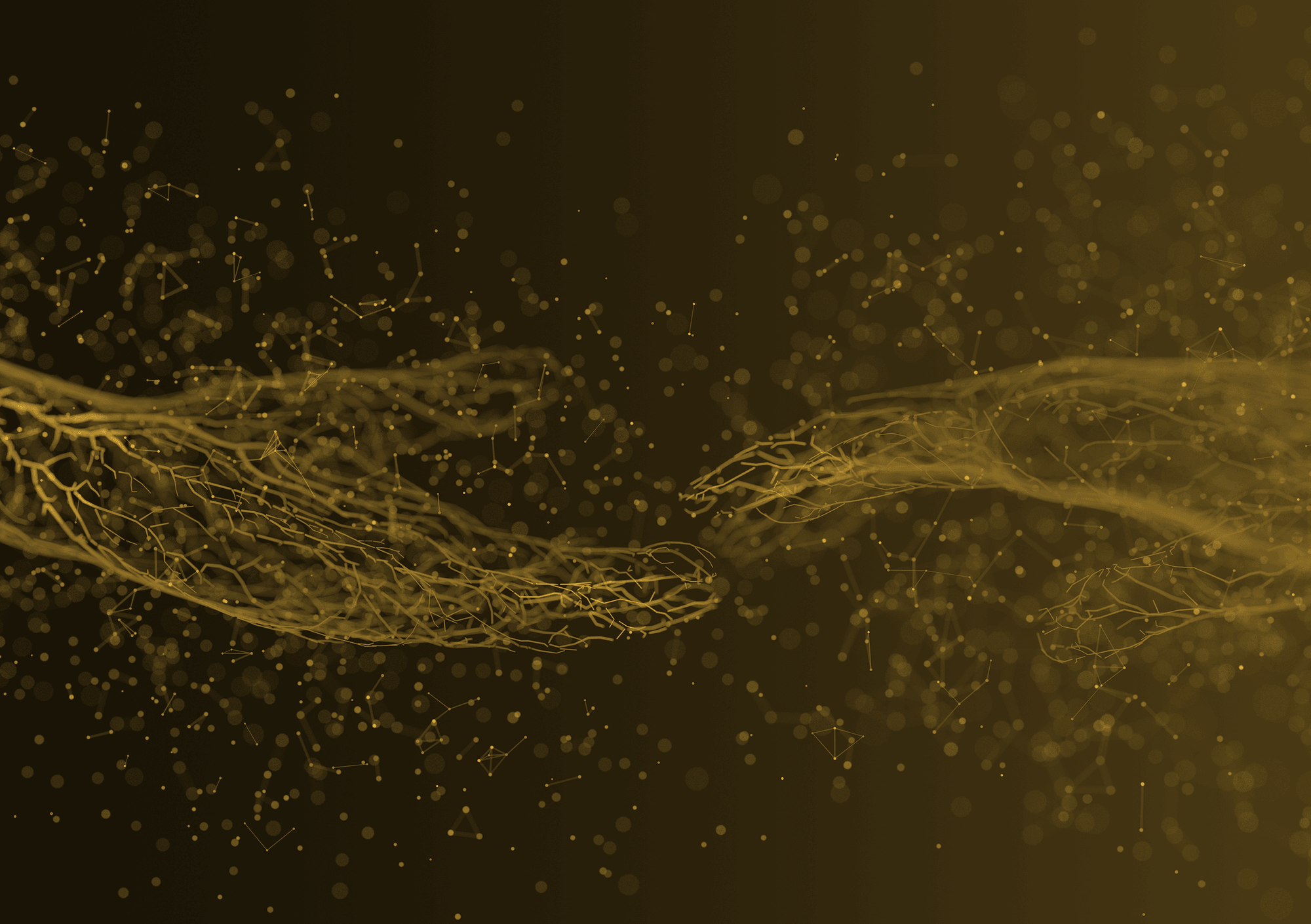 Overlay Main Banner