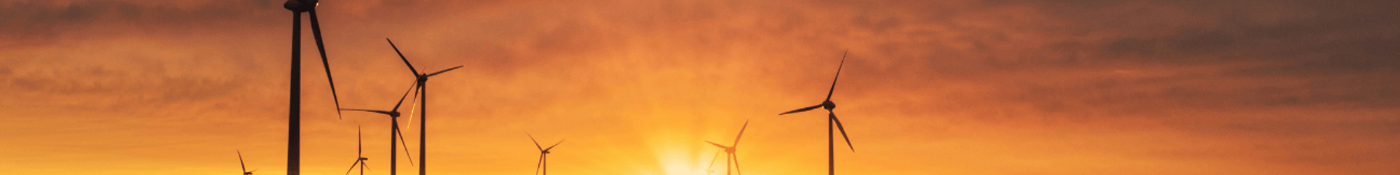 Delivering a Cost-Effective Candidate Solution