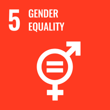 Goal 5 – Gender Equality