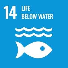 Goal 14 – Life Below Water 