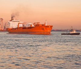 Supply Chain