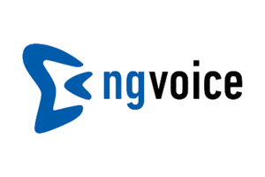 ng-voice