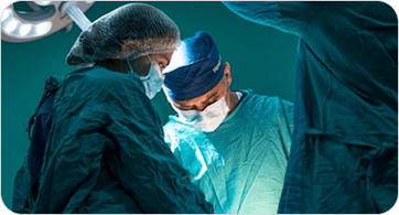 Urna ut turpis velit est vitae odio ut pellentesqued