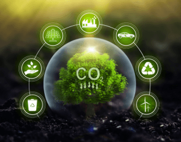 ESG Essentials: A roadmap for carbon reduction