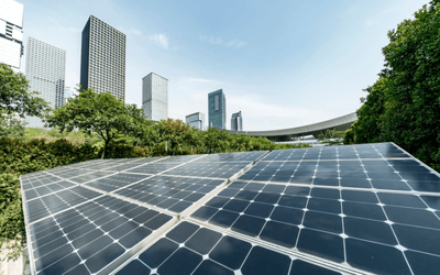 Environment and Sustainability Consultancy in Europe: What Lessons Can the UK Learn? 