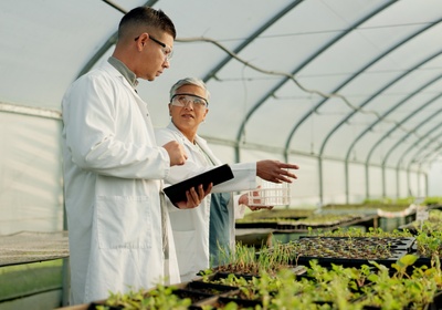 Why Senior Life Sciences Professionals Should Be Consulting With CMC