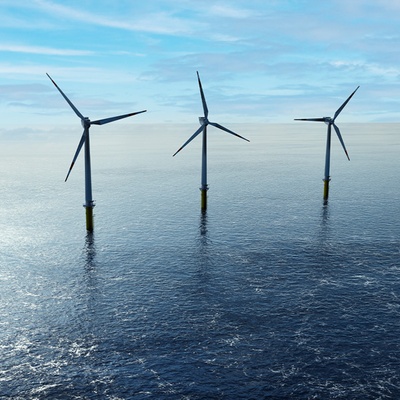 How to Upskill for a Career in Sustainability and Environmental Roles