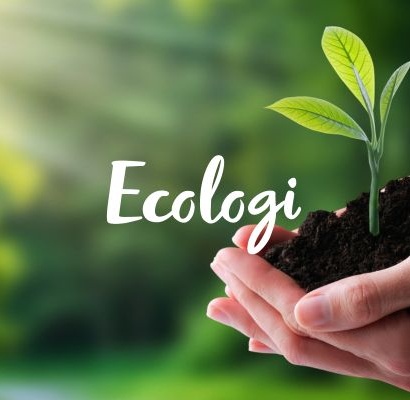 LIGHT SOURCE PEOPLE PARTNER WITH ECOLOGI