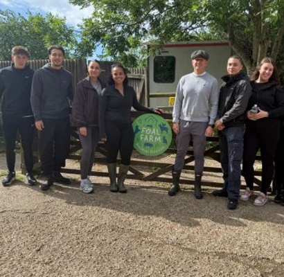 LSP Renewables Team Visits Foal Farm Animal Rescue Centre for Volunteering Day
