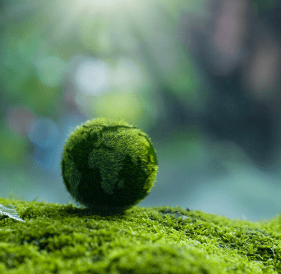 RENEWABLES TO OUTSHINE FOSSIL FUELS IN UK POWER REVOLUTION 