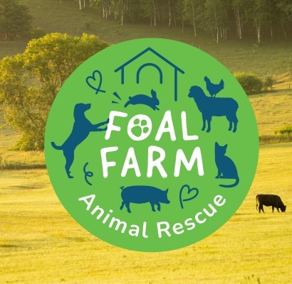 LSP Renewables Announces Foal Farm Animal Rescue as Our 2026 Charity Partner