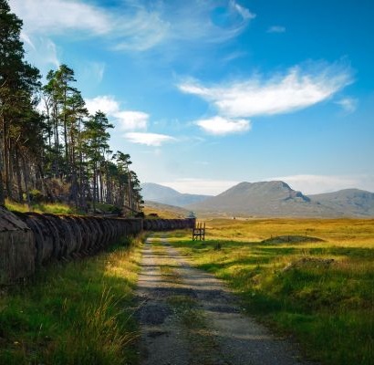 UK's BATTERY PIPELINE HITS 95GW, ACCELERATING DEMAND FOR RENEWABLE ENERGY TALENT