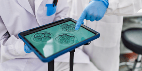 Case study: Supporting a diagnostics organisation post-restructuring