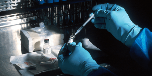 Building the future: Recruiting for foundation models, GenAI and LLMs in biology