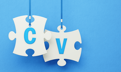 A Recruiter's Guide to Stellar CVs