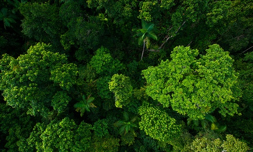 2022 must be a big year for sustainability in the tech sector