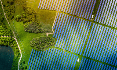 Harvey Nash Group  pledge to use renewable energy in European offices by 2023 on the way to achieve Net Zero