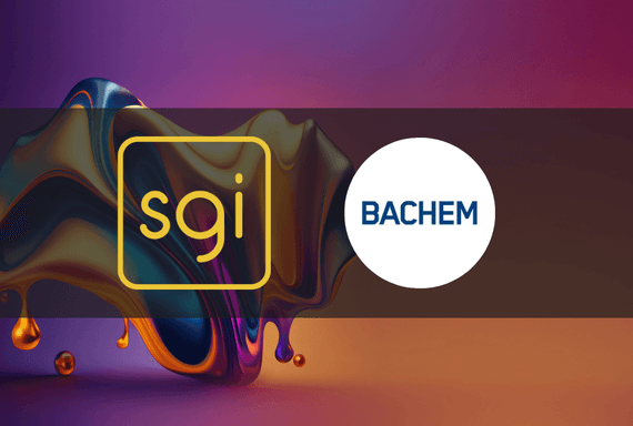 SGI Fallstudie – Bachem image
