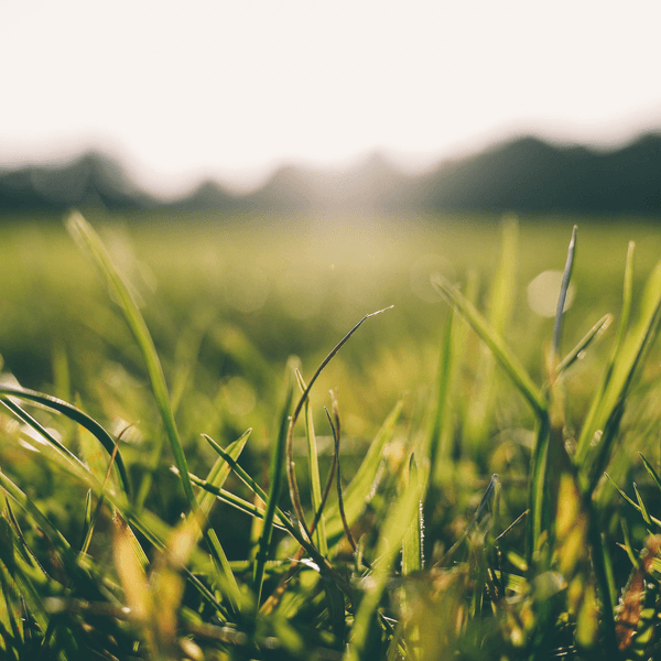 Sun’s out, staff’s out? Not on our watch