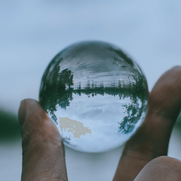 How transparent recruitment pricing builds trust and performance