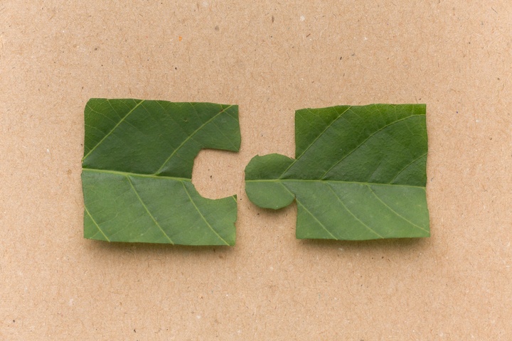 Greenwashing vs Green Talent
