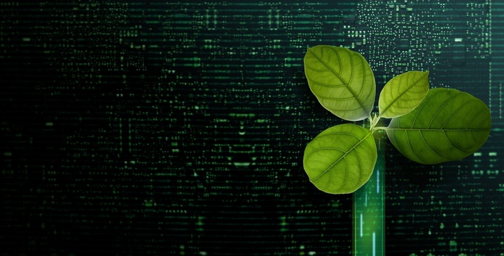 Global Hiring Guide 2024: ESG, Sustainability & Human Rights