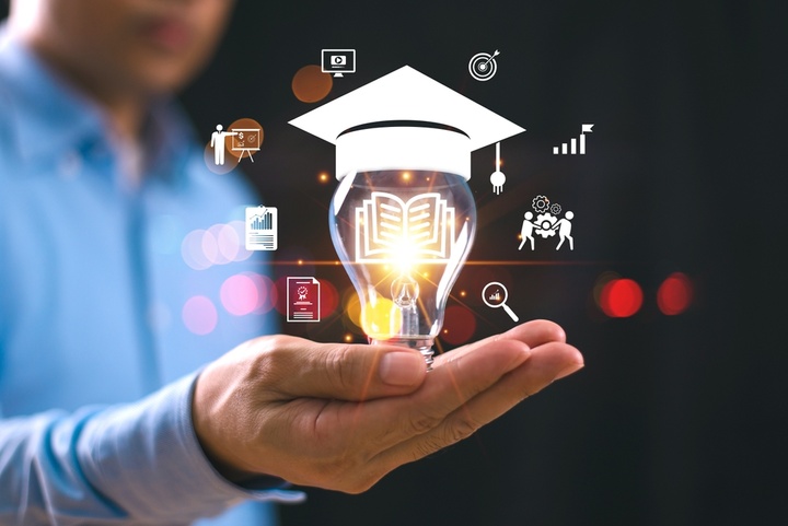 Which skills and qualifications are in high demand in the human rights niche?