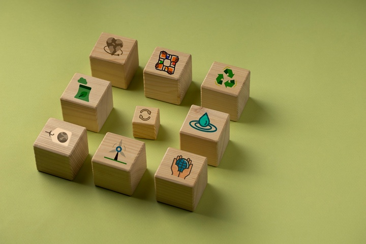 Structuring a Sustainability function: where the roles should sit