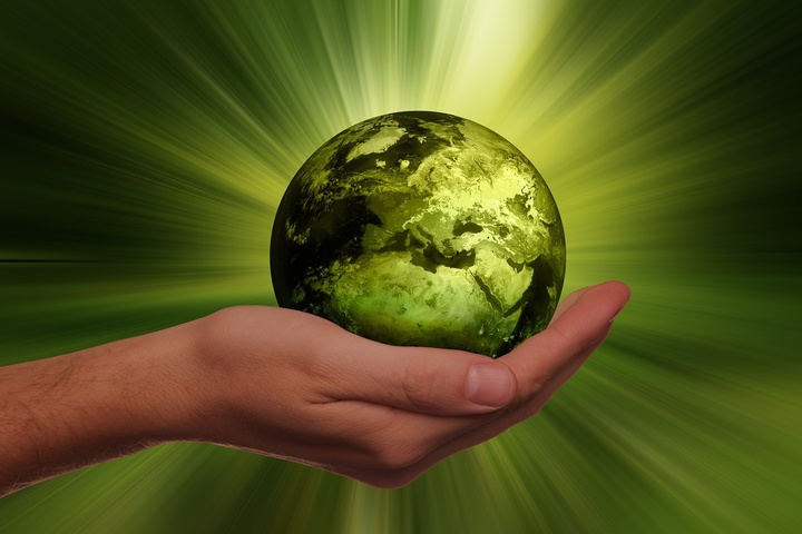 ESG candidates: here's what they really want