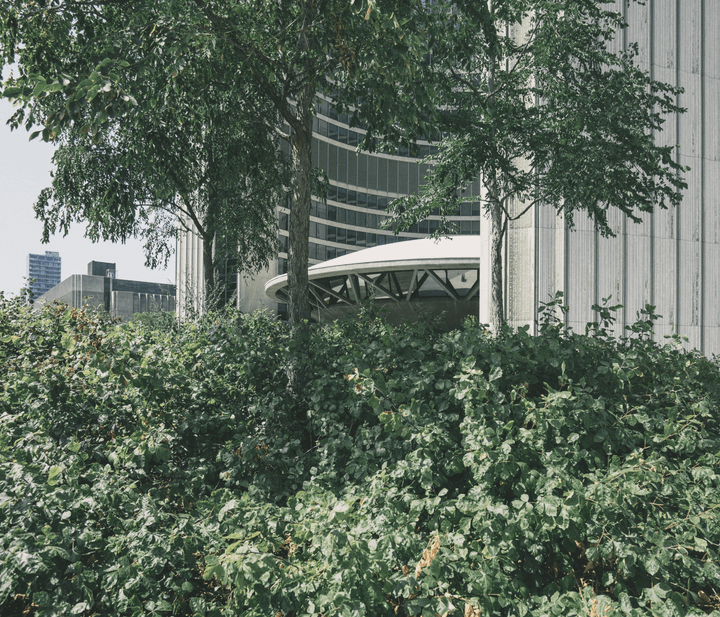 4 reasons why ESG should be addressed by your business ASAP !