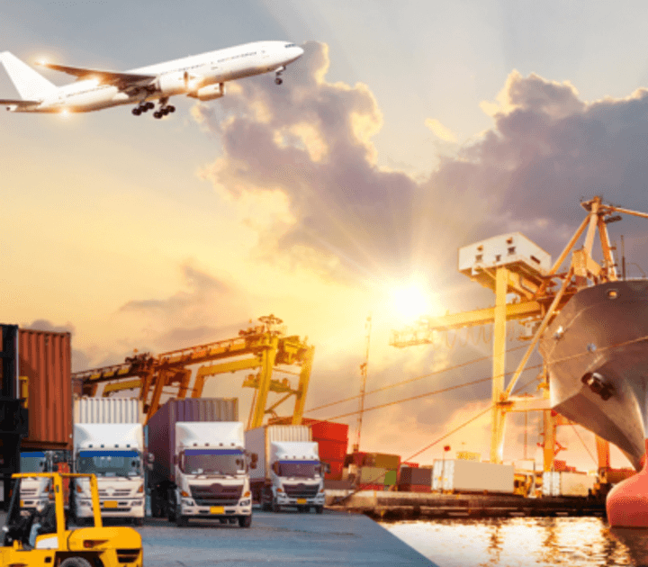 What is the role of an international trade compliance manager ?