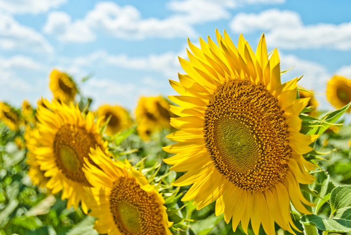 Four reasons why August is a great month for job-hunting