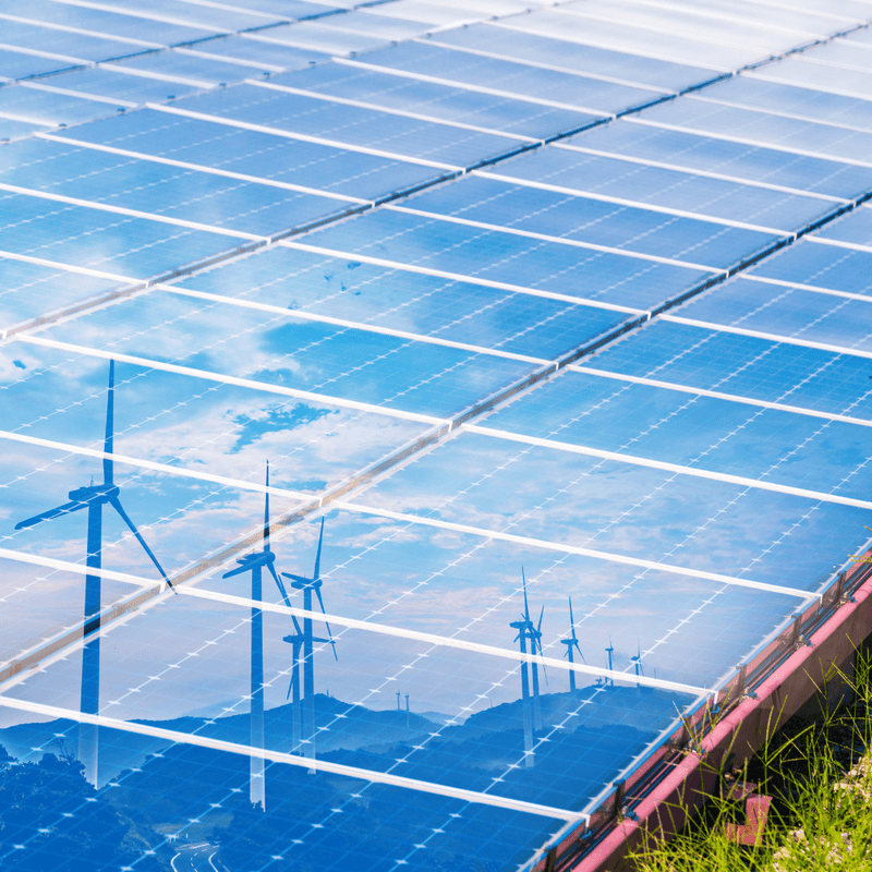 The State of the Renewable Energy Market: Today, Tomorrow and Beyond 