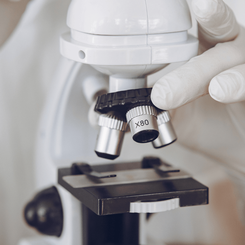 STEM Professions: Jobs in Microbiology