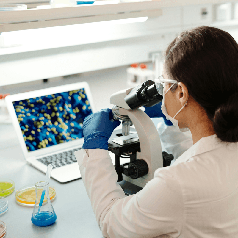 Pharmaceutical Recruitment Explained: Navigating Talent Needs in a Regulated Industry 
