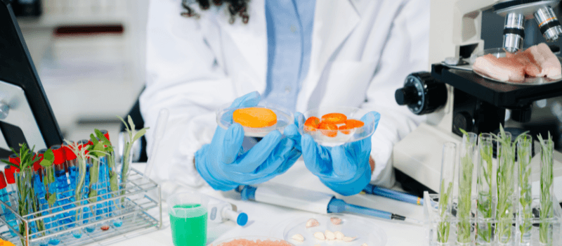 Hiring for FMCG in 2026? Explore Key Roles, Skills & Strategies 