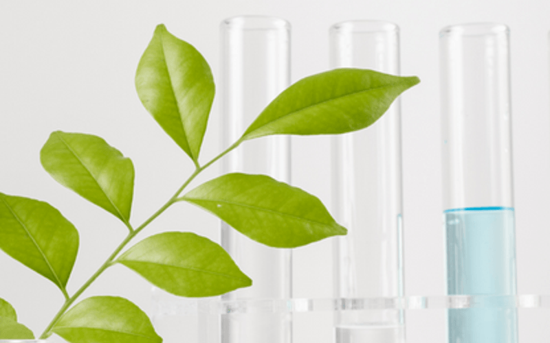 3 Success Principles for Life Science Business Growth Science