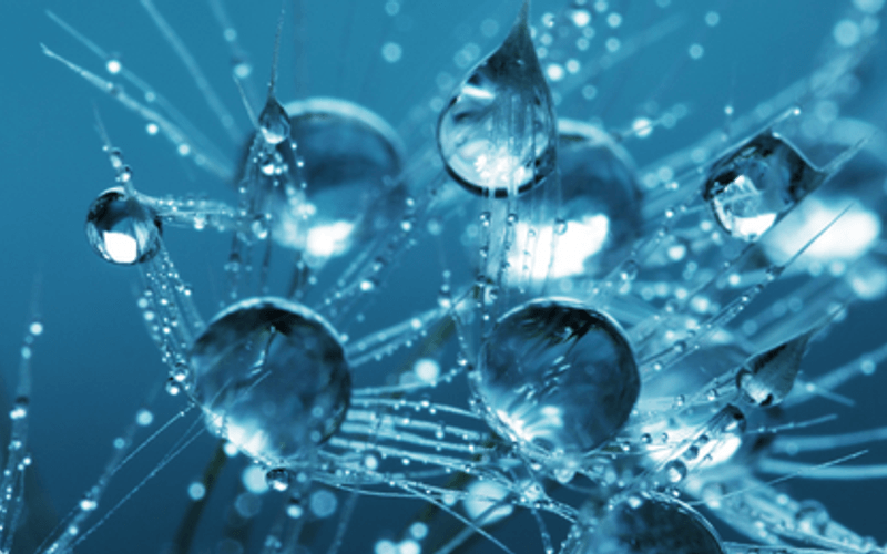 What types of jobs are available in the petroleum engineering field