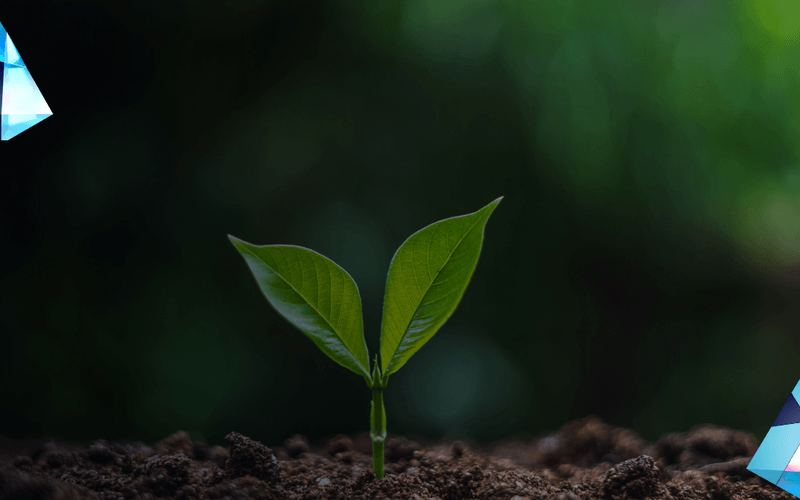 Earth Day 2025: Committing to a Sustainable Future