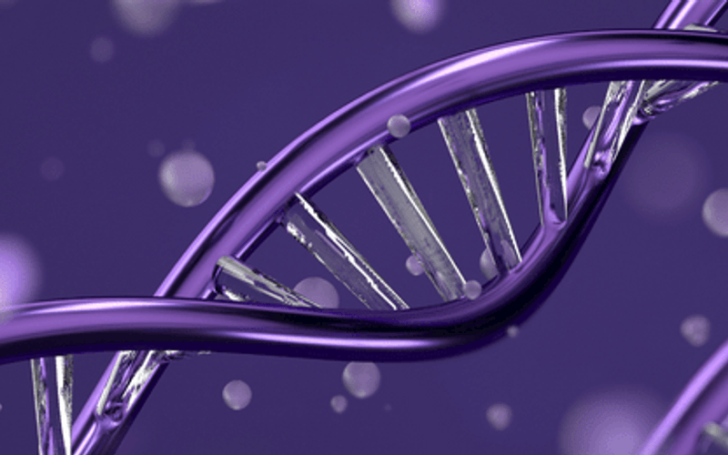 Highest Paying Biomedical Science Careers and Salary SRG Talent