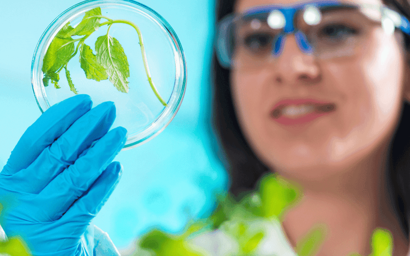 STEM Professions Jobs as a Cell Biologist Science, Engineering & Life Science Recruitment