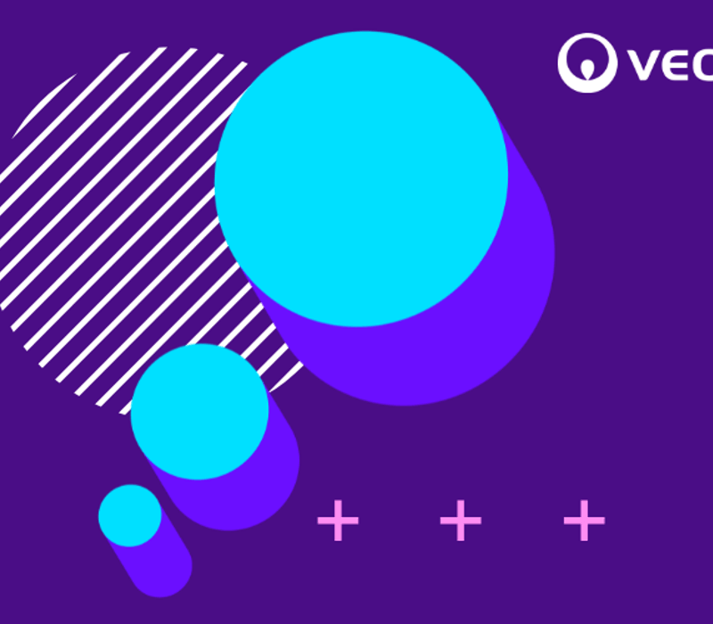 Transformative Strategy Delivers Impact with Veolia 