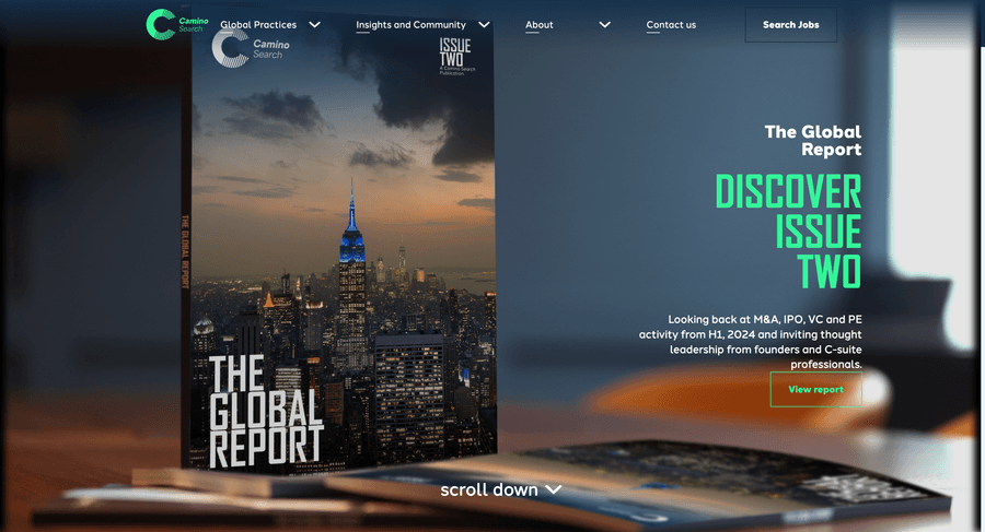 Camino Search Recruitment Website Screenshot