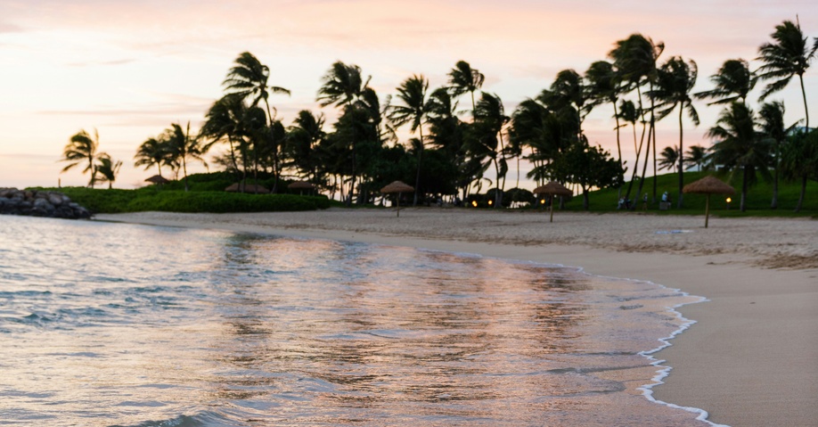 PTC Hawaii, fourth time around