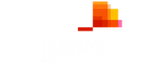PwC Logo