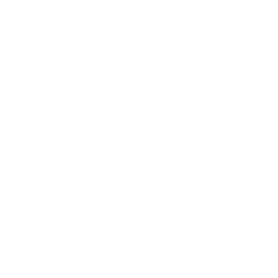 Executive Search for a High-Impact CTO